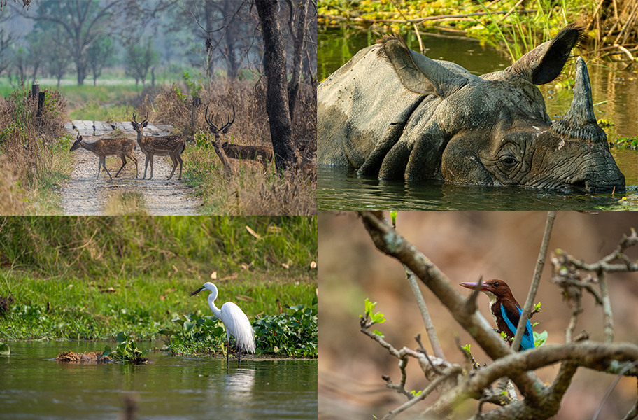 Environmental Photography 2